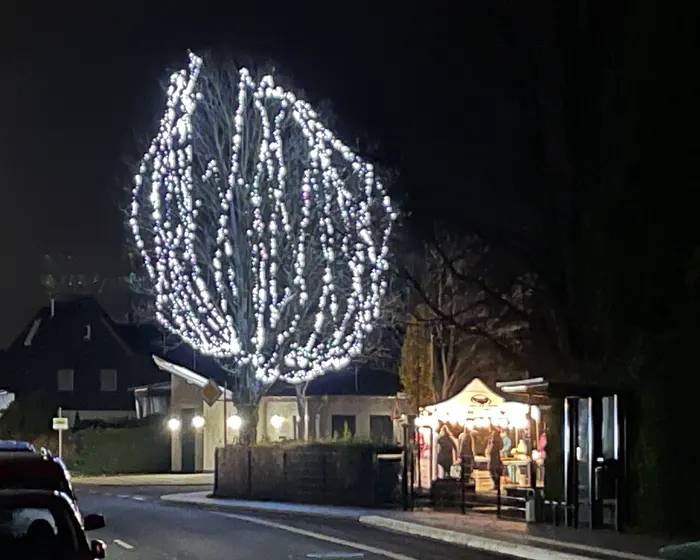 Weihnachtliche Baumbeleuchtung am Dorfplatz